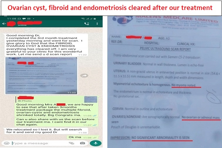 Fib-5.-3-in-1-Tretment-Fibroid-Ovarian-Cyst-Endometriosis-all-cleared-naturally-without-surgery-after-our-treatment-1